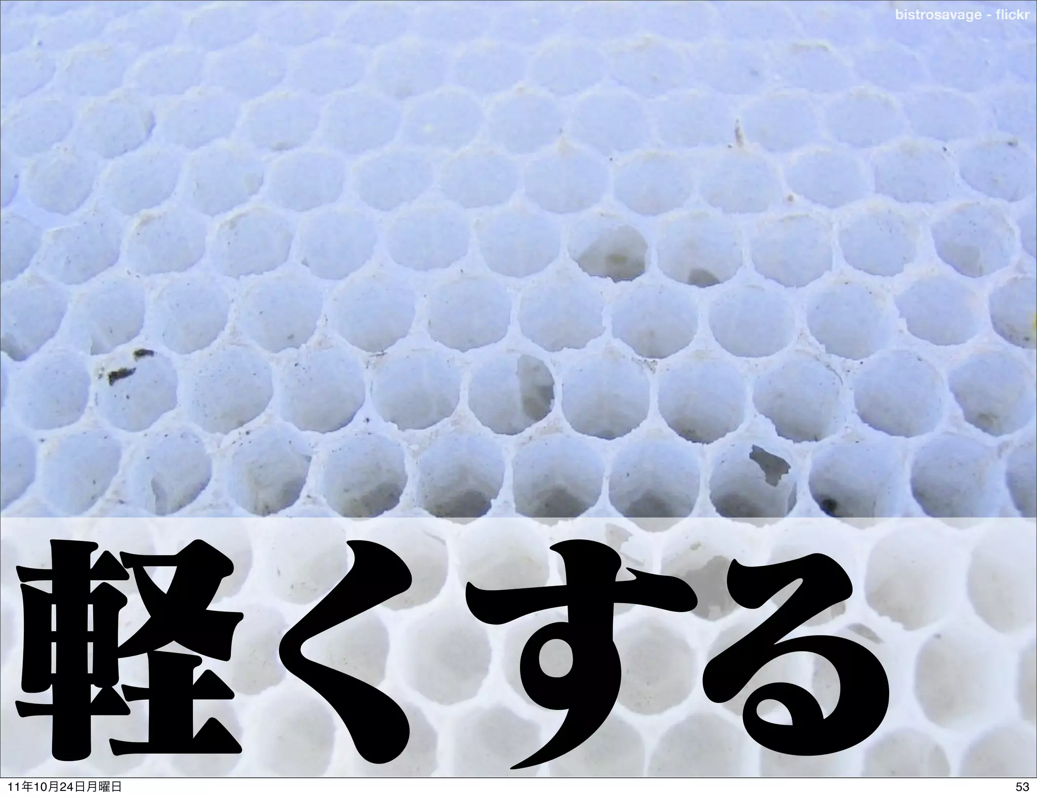 bistrosavage - ﬂickr




11   10   24                    53
 