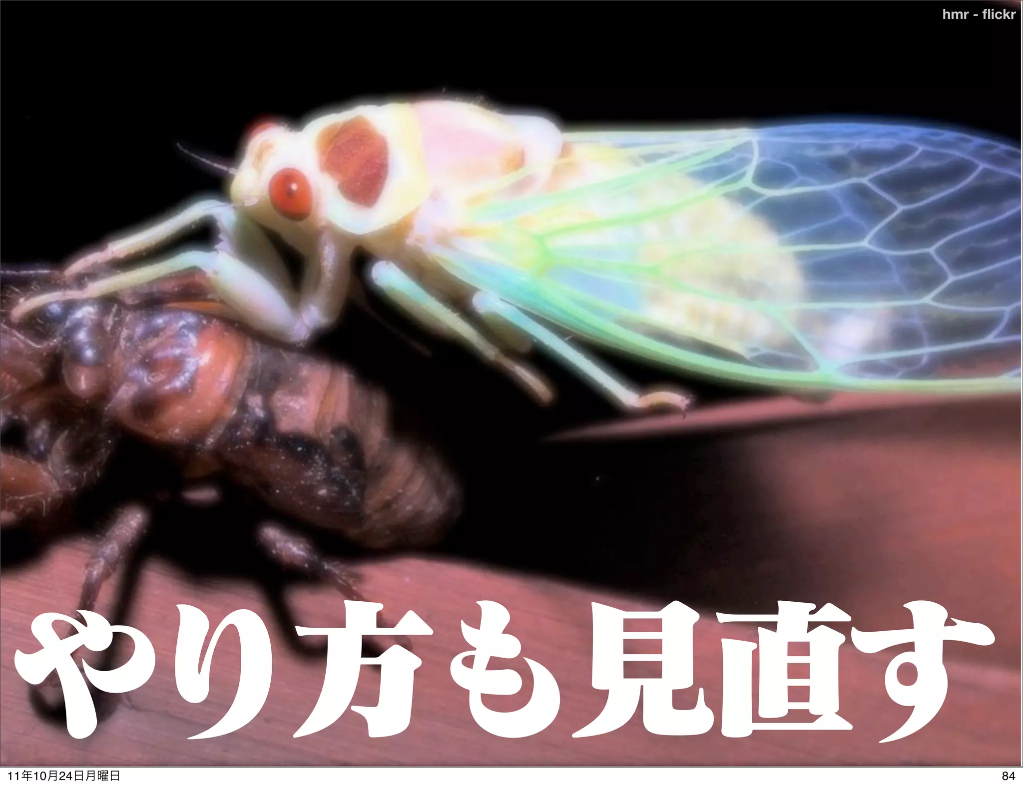 hmr - ﬂickr




11   10   24           84
 