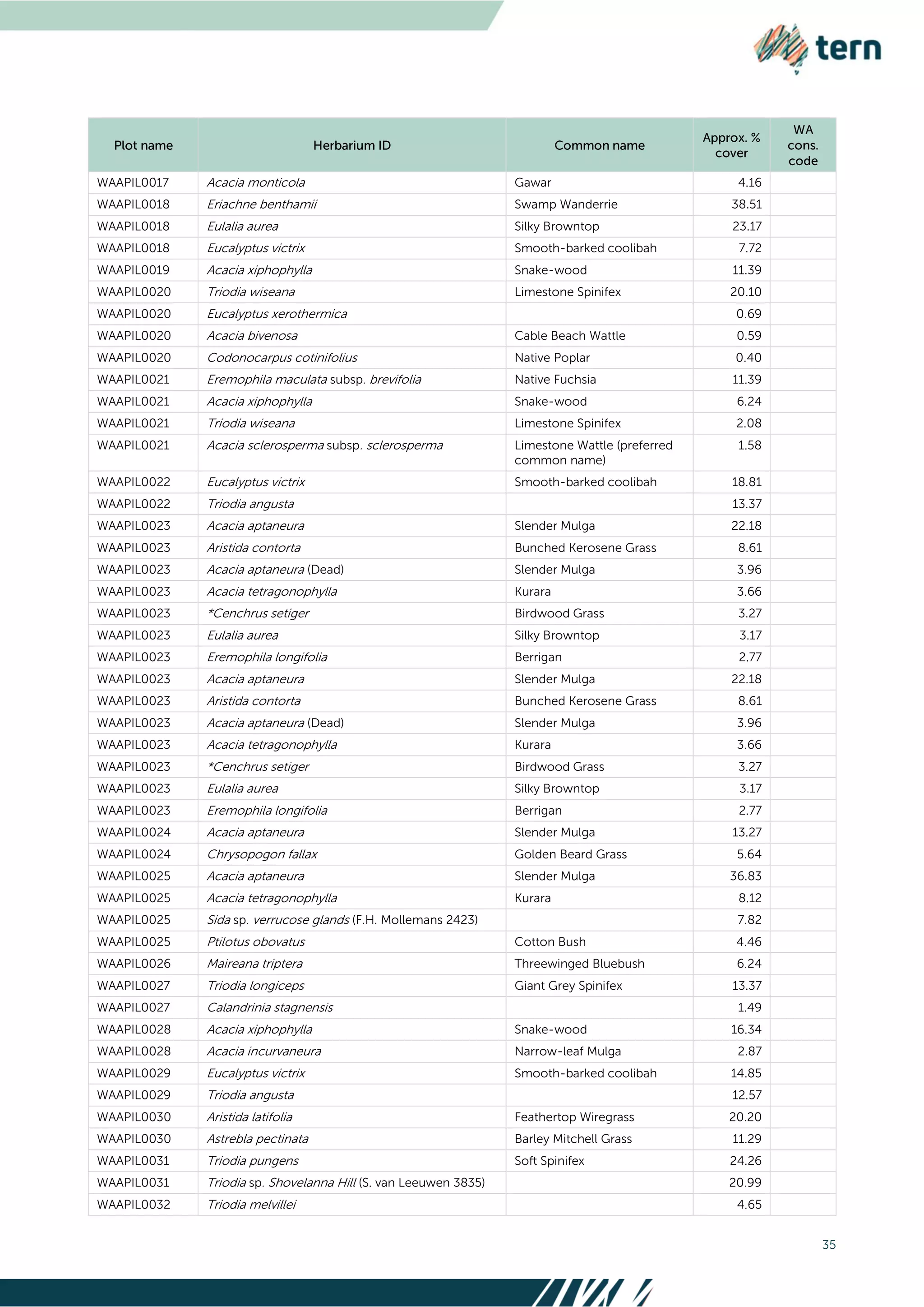 35
WAAPIL0017 Acacia monticola Gawar 4.16
WAAPIL0018 Eriachne benthamii Swamp Wanderrie 38.51
WAAPIL0018 Eulalia aurea Silky Browntop 23.17
WAAPIL0018 Eucalyptus victrix Smooth-barked coolibah 7.72
WAAPIL0019 Acacia xiphophylla Snake-wood 11.39
WAAPIL0020 Triodia wiseana Limestone Spinifex 20.10
WAAPIL0020 Eucalyptus xerothermica 0.69
WAAPIL0020 Acacia bivenosa Cable Beach Wattle 0.59
WAAPIL0020 Codonocarpus cotinifolius Native Poplar 0.40
WAAPIL0021 Eremophila maculata subsp. brevifolia Native Fuchsia 11.39
WAAPIL0021 Acacia xiphophylla Snake-wood 6.24
WAAPIL0021 Triodia wiseana Limestone Spinifex 2.08
WAAPIL0021 Acacia sclerosperma subsp. sclerosperma Limestone Wattle (preferred
common name)
1.58
WAAPIL0022 Eucalyptus victrix Smooth-barked coolibah 18.81
WAAPIL0022 Triodia angusta 13.37
WAAPIL0023 Acacia aptaneura Slender Mulga 22.18
WAAPIL0023 Aristida contorta Bunched Kerosene Grass 8.61
WAAPIL0023 Acacia aptaneura (Dead) Slender Mulga 3.96
WAAPIL0023 Acacia tetragonophylla Kurara 3.66
WAAPIL0023 *Cenchrus setiger Birdwood Grass 3.27
WAAPIL0023 Eulalia aurea Silky Browntop 3.17
WAAPIL0023 Eremophila longifolia Berrigan 2.77
WAAPIL0023 Acacia aptaneura Slender Mulga 22.18
WAAPIL0023 Aristida contorta Bunched Kerosene Grass 8.61
WAAPIL0023 Acacia aptaneura (Dead) Slender Mulga 3.96
WAAPIL0023 Acacia tetragonophylla Kurara 3.66
WAAPIL0023 *Cenchrus setiger Birdwood Grass 3.27
WAAPIL0023 Eulalia aurea Silky Browntop 3.17
WAAPIL0023 Eremophila longifolia Berrigan 2.77
WAAPIL0024 Acacia aptaneura Slender Mulga 13.27
WAAPIL0024 Chrysopogon fallax Golden Beard Grass 5.64
WAAPIL0025 Acacia aptaneura Slender Mulga 36.83
WAAPIL0025 Acacia tetragonophylla Kurara 8.12
WAAPIL0025 Sida sp. verrucose glands (F.H. Mollemans 2423) 7.82
WAAPIL0025 Ptilotus obovatus Cotton Bush 4.46
WAAPIL0026 Maireana triptera Threewinged Bluebush 6.24
WAAPIL0027 Triodia longiceps Giant Grey Spinifex 13.37
WAAPIL0027 Calandrinia stagnensis 1.49
WAAPIL0028 Acacia xiphophylla Snake-wood 16.34
WAAPIL0028 Acacia incurvaneura Narrow-leaf Mulga 2.87
WAAPIL0029 Eucalyptus victrix Smooth-barked coolibah 14.85
WAAPIL0029 Triodia angusta 12.57
WAAPIL0030 Aristida latifolia Feathertop Wiregrass 20.20
WAAPIL0030 Astrebla pectinata Barley Mitchell Grass 11.29
WAAPIL0031 Triodia pungens Soft Spinifex 24.26
WAAPIL0031 Triodia sp. Shovelanna Hill (S. van Leeuwen 3835) 20.99
WAAPIL0032 Triodia melvillei 4.65
 
