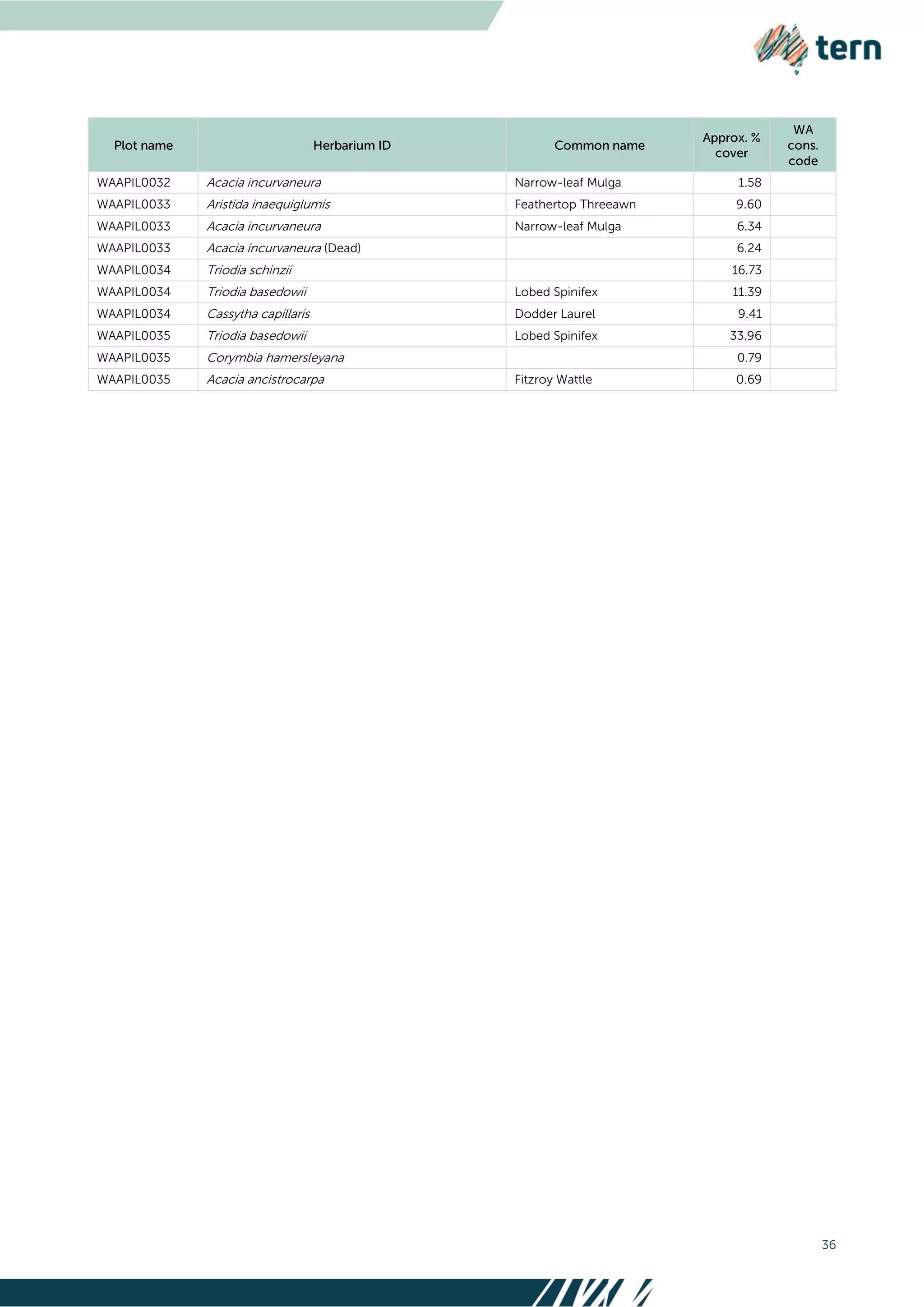 36
WAAPIL0032 Acacia incurvaneura Narrow-leaf Mulga 1.58
WAAPIL0033 Aristida inaequiglumis Feathertop Threeawn 9.60
WAAPIL0033 Acacia incurvaneura Narrow-leaf Mulga 6.34
WAAPIL0033 Acacia incurvaneura (Dead) 6.24
WAAPIL0034 Triodia schinzii 16.73
WAAPIL0034 Triodia basedowii Lobed Spinifex 11.39
WAAPIL0034 Cassytha capillaris Dodder Laurel 9.41
WAAPIL0035 Triodia basedowii Lobed Spinifex 33.96
WAAPIL0035 Corymbia hamersleyana 0.79
WAAPIL0035 Acacia ancistrocarpa Fitzroy Wattle 0.69
 