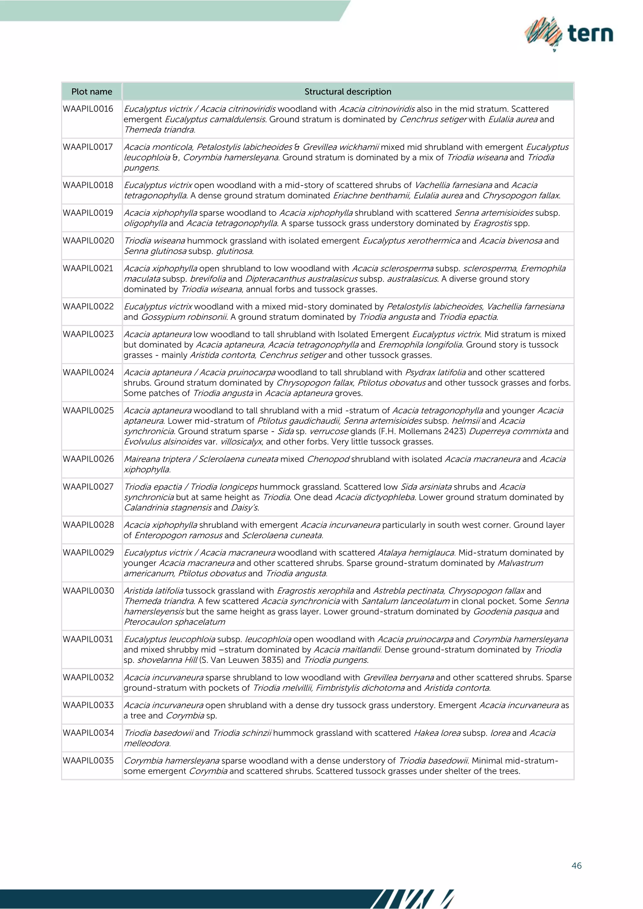 46
WAAPIL0016 Eucalyptus victrix / Acacia citrinoviridis woodland with Acacia citrinoviridis also in the mid stratum. Scattered
emergent Eucalyptus camaldulensis. Ground stratum is dominated by Cenchrus setiger with Eulalia aurea and
Themeda triandra.
WAAPIL0017 Acacia monticola, Petalostylis labicheoides & Grevillea wickhamii mixed mid shrubland with emergent Eucalyptus
leucophloia &, Corymbia hamersleyana. Ground stratum is dominated by a mix of Triodia wiseana and Triodia
pungens.
WAAPIL0018 Eucalyptus victrix open woodland with a mid-story of scattered shrubs of Vachellia farnesiana and Acacia
tetragonophylla. A dense ground stratum dominated Eriachne benthamii, Eulalia aurea and Chrysopogon fallax.
WAAPIL0019 Acacia xiphophylla sparse woodland to Acacia xiphophylla shrubland with scattered Senna artemisioides subsp.
oligophylla and Acacia tetragonophylla. A sparse tussock grass understory dominated by Eragrostis spp.
WAAPIL0020 Triodia wiseana hummock grassland with isolated emergent Eucalyptus xerothermica and Acacia bivenosa and
Senna glutinosa subsp. glutinosa.
WAAPIL0021 Acacia xiphophylla open shrubland to low woodland with Acacia sclerosperma subsp. sclerosperma, Eremophila
maculata subsp. brevifolia and Dipteracanthus australasicus subsp. australasicus. A diverse ground story
dominated by Triodia wiseana, annual forbs and tussock grasses.
WAAPIL0022 Eucalyptus victrix woodland with a mixed mid-story dominated by Petalostylis labicheoides, Vachellia farnesiana
and Gossypium robinsonii. A ground stratum dominated by Triodia angusta and Triodia epactia.
WAAPIL0023 Acacia aptaneura low woodland to tall shrubland with Isolated Emergent Eucalyptus victrix. Mid stratum is mixed
but dominated by Acacia aptaneura, Acacia tetragonophylla and Eremophila longifolia. Ground story is tussock
grasses - mainly Aristida contorta, Cenchrus setiger and other tussock grasses.
WAAPIL0024 Acacia aptaneura / Acacia pruinocarpa woodland to tall shrubland with Psydrax latifolia and other scattered
shrubs. Ground stratum dominated by Chrysopogon fallax, Ptilotus obovatus and other tussock grasses and forbs.
Some patches of Triodia angusta in Acacia aptaneura groves.
WAAPIL0025 Acacia aptaneura woodland to tall shrubland with a mid -stratum of Acacia tetragonophylla and younger Acacia
aptaneura. Lower mid-stratum of Ptilotus gaudichaudii, Senna artemisioides subsp. helmsii and Acacia
synchronicia. Ground stratum sparse - Sida sp. verrucose glands (F.H. Mollemans 2423) Duperreya commixta and
Evolvulus alsinoides var. villosicalyx, and other forbs. Very little tussock grasses.
WAAPIL0026 Maireana triptera / Sclerolaena cuneata mixed Chenopod shrubland with isolated Acacia macraneura and Acacia
xiphophylla.
WAAPIL0027 Triodia epactia / Triodia longiceps hummock grassland. Scattered low Sida arsiniata shrubs and Acacia
synchronicia but at same height as Triodia. One dead Acacia dictyophleba. Lower ground stratum dominated by
Calandrinia stagnensis and Daisy’s.
WAAPIL0028 Acacia xiphophylla shrubland with emergent Acacia incurvaneura particularly in south west corner. Ground layer
of Enteropogon ramosus and Sclerolaena cuneata.
WAAPIL0029 Eucalyptus victrix / Acacia macraneura woodland with scattered Atalaya hemiglauca. Mid-stratum dominated by
younger Acacia macraneura and other scattered shrubs. Sparse ground-stratum dominated by Malvastrum
americanum, Ptilotus obovatus and Triodia angusta.
WAAPIL0030 Aristida latifolia tussock grassland with Eragrostis xerophila and Astrebla pectinata, Chrysopogon fallax and
Themeda triandra. A few scattered Acacia synchronicia with Santalum lanceolatum in clonal pocket. Some Senna
hamersleyensis but the same height as grass layer. Lower ground-stratum dominated by Goodenia pasqua and
Pterocaulon sphacelatum
WAAPIL0031 Eucalyptus leucophloia subsp. leucophloia open woodland with Acacia pruinocarpa and Corymbia hamersleyana
and mixed shrubby mid –stratum dominated by Acacia maitlandii. Dense ground-stratum dominated by Triodia
sp. shovelanna Hill (S. Van Leuwen 3835) and Triodia pungens.
WAAPIL0032 Acacia incurvaneura sparse shrubland to low woodland with Grevillea berryana and other scattered shrubs. Sparse
ground-stratum with pockets of Triodia melvillii, Fimbristylis dichotoma and Aristida contorta.
WAAPIL0033 Acacia incurvaneura open shrubland with a dense dry tussock grass understory. Emergent Acacia incurvaneura as
a tree and Corymbia sp.
WAAPIL0034 Triodia basedowii and Triodia schinzii hummock grassland with scattered Hakea lorea subsp. lorea and Acacia
melleodora.
WAAPIL0035 Corymbia hamersleyana sparse woodland with a dense understory of Triodia basedowii. Minimal mid-stratum-
some emergent Corymbia and scattered shrubs. Scattered tussock grasses under shelter of the trees.
 