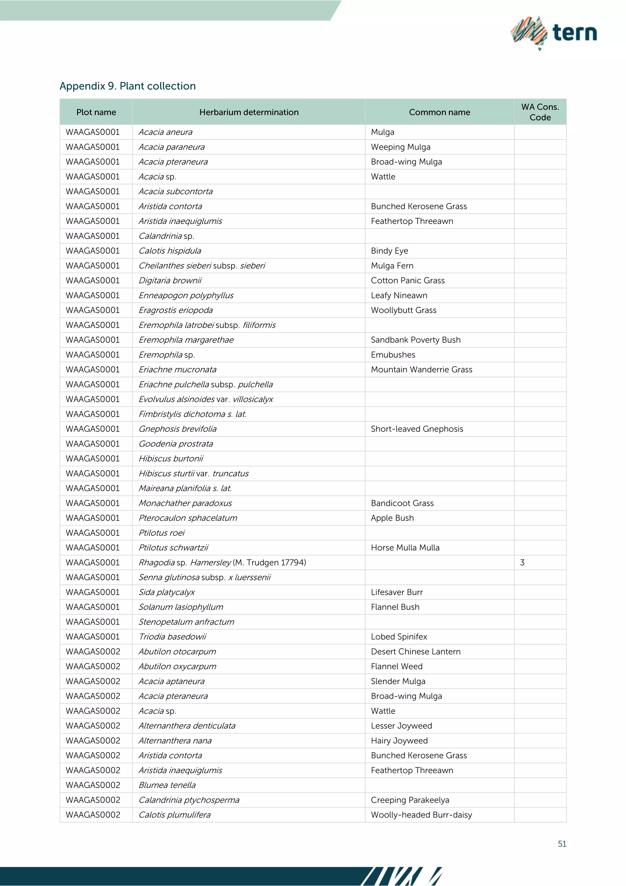 51
WAAGAS0001 Acacia aneura Mulga
WAAGAS0001 Acacia paraneura Weeping Mulga
WAAGAS0001 Acacia pteraneura Broad-wing Mulga
WAAGAS0001 Acacia sp. Wattle
WAAGAS0001 Acacia subcontorta
WAAGAS0001 Aristida contorta Bunched Kerosene Grass
WAAGAS0001 Aristida inaequiglumis Feathertop Threeawn
WAAGAS0001 Calandrinia sp.
WAAGAS0001 Calotis hispidula Bindy Eye
WAAGAS0001 Cheilanthes sieberi subsp. sieberi Mulga Fern
WAAGAS0001 Digitaria brownii Cotton Panic Grass
WAAGAS0001 Enneapogon polyphyllus Leafy Nineawn
WAAGAS0001 Eragrostis eriopoda Woollybutt Grass
WAAGAS0001 Eremophila latrobei subsp. filiformis
WAAGAS0001 Eremophila margarethae Sandbank Poverty Bush
WAAGAS0001 Eremophila sp. Emubushes
WAAGAS0001 Eriachne mucronata Mountain Wanderrie Grass
WAAGAS0001 Eriachne pulchella subsp. pulchella
WAAGAS0001 Evolvulus alsinoides var. villosicalyx
WAAGAS0001 Fimbristylis dichotoma s. lat.
WAAGAS0001 Gnephosis brevifolia Short-leaved Gnephosis
WAAGAS0001 Goodenia prostrata
WAAGAS0001 Hibiscus burtonii
WAAGAS0001 Hibiscus sturtii var. truncatus
WAAGAS0001 Maireana planifolia s. lat.
WAAGAS0001 Monachather paradoxus Bandicoot Grass
WAAGAS0001 Pterocaulon sphacelatum Apple Bush
WAAGAS0001 Ptilotus roei
WAAGAS0001 Ptilotus schwartzii Horse Mulla Mulla
WAAGAS0001 Rhagodia sp. Hamersley (M. Trudgen 17794) 3
WAAGAS0001 Senna glutinosa subsp. x luerssenii
WAAGAS0001 Sida platycalyx Lifesaver Burr
WAAGAS0001 Solanum lasiophyllum Flannel Bush
WAAGAS0001 Stenopetalum anfractum
WAAGAS0001 Triodia basedowii Lobed Spinifex
WAAGAS0002 Abutilon otocarpum Desert Chinese Lantern
WAAGAS0002 Abutilon oxycarpum Flannel Weed
WAAGAS0002 Acacia aptaneura Slender Mulga
WAAGAS0002 Acacia pteraneura Broad-wing Mulga
WAAGAS0002 Acacia sp. Wattle
WAAGAS0002 Alternanthera denticulata Lesser Joyweed
WAAGAS0002 Alternanthera nana Hairy Joyweed
WAAGAS0002 Aristida contorta Bunched Kerosene Grass
WAAGAS0002 Aristida inaequiglumis Feathertop Threeawn
WAAGAS0002 Blumea tenella
WAAGAS0002 Calandrinia ptychosperma Creeping Parakeelya
WAAGAS0002 Calotis plumulifera Woolly-headed Burr-daisy
 