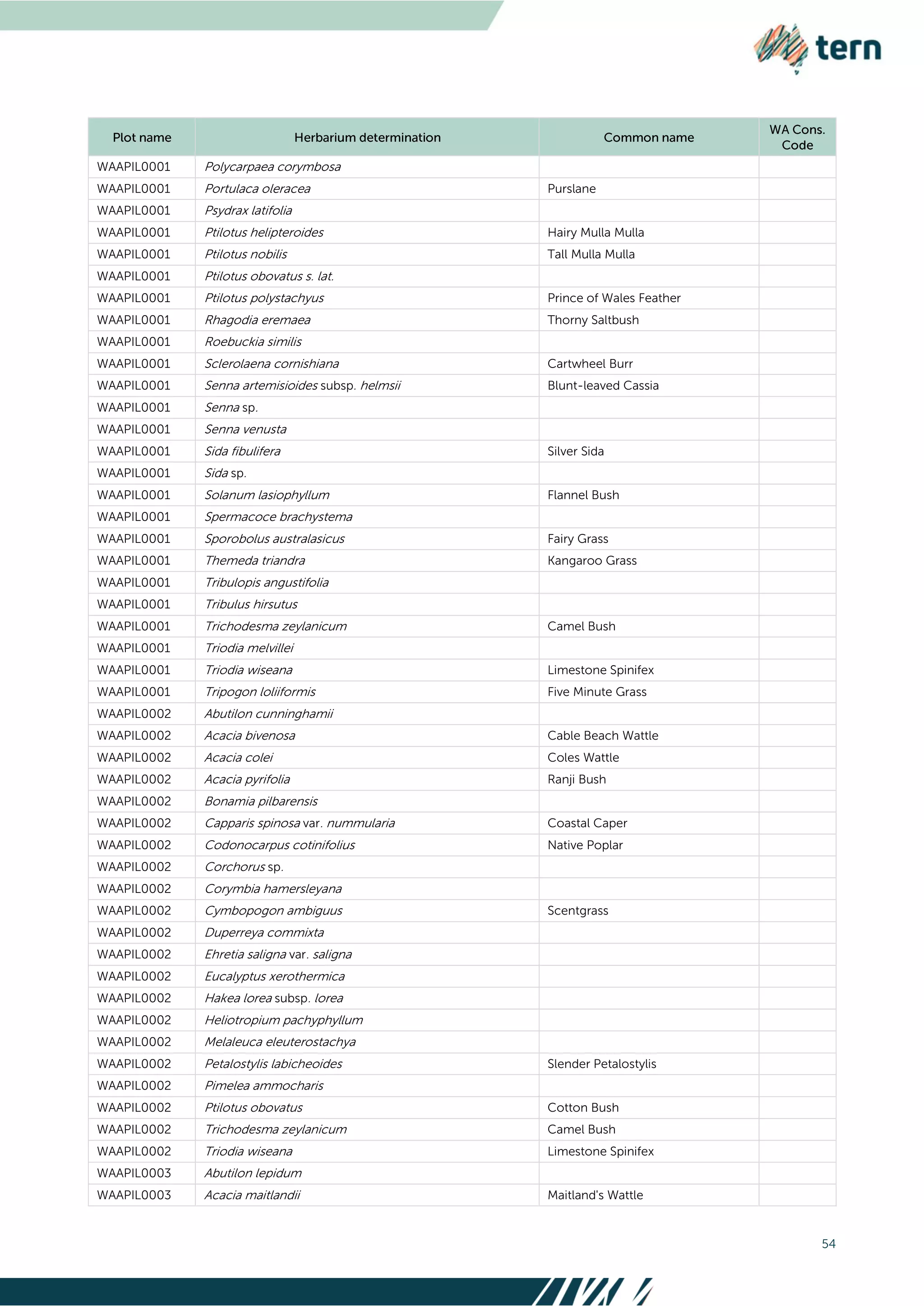 54
WAAPIL0001 Polycarpaea corymbosa
WAAPIL0001 Portulaca oleracea Purslane
WAAPIL0001 Psydrax latifolia
WAAPIL0001 Ptilotus helipteroides Hairy Mulla Mulla
WAAPIL0001 Ptilotus nobilis Tall Mulla Mulla
WAAPIL0001 Ptilotus obovatus s. lat.
WAAPIL0001 Ptilotus polystachyus Prince of Wales Feather
WAAPIL0001 Rhagodia eremaea Thorny Saltbush
WAAPIL0001 Roebuckia similis
WAAPIL0001 Sclerolaena cornishiana Cartwheel Burr
WAAPIL0001 Senna artemisioides subsp. helmsii Blunt-leaved Cassia
WAAPIL0001 Senna sp.
WAAPIL0001 Senna venusta
WAAPIL0001 Sida fibulifera Silver Sida
WAAPIL0001 Sida sp.
WAAPIL0001 Solanum lasiophyllum Flannel Bush
WAAPIL0001 Spermacoce brachystema
WAAPIL0001 Sporobolus australasicus Fairy Grass
WAAPIL0001 Themeda triandra Kangaroo Grass
WAAPIL0001 Tribulopis angustifolia
WAAPIL0001 Tribulus hirsutus
WAAPIL0001 Trichodesma zeylanicum Camel Bush
WAAPIL0001 Triodia melvillei
WAAPIL0001 Triodia wiseana Limestone Spinifex
WAAPIL0001 Tripogon loliiformis Five Minute Grass
WAAPIL0002 Abutilon cunninghamii
WAAPIL0002 Acacia bivenosa Cable Beach Wattle
WAAPIL0002 Acacia colei Coles Wattle
WAAPIL0002 Acacia pyrifolia Ranji Bush
WAAPIL0002 Bonamia pilbarensis
WAAPIL0002 Capparis spinosa var. nummularia Coastal Caper
WAAPIL0002 Codonocarpus cotinifolius Native Poplar
WAAPIL0002 Corchorus sp.
WAAPIL0002 Corymbia hamersleyana
WAAPIL0002 Cymbopogon ambiguus Scentgrass
WAAPIL0002 Duperreya commixta
WAAPIL0002 Ehretia saligna var. saligna
WAAPIL0002 Eucalyptus xerothermica
WAAPIL0002 Hakea lorea subsp. lorea
WAAPIL0002 Heliotropium pachyphyllum
WAAPIL0002 Melaleuca eleuterostachya
WAAPIL0002 Petalostylis labicheoides Slender Petalostylis
WAAPIL0002 Pimelea ammocharis
WAAPIL0002 Ptilotus obovatus Cotton Bush
WAAPIL0002 Trichodesma zeylanicum Camel Bush
WAAPIL0002 Triodia wiseana Limestone Spinifex
WAAPIL0003 Abutilon lepidum
WAAPIL0003 Acacia maitlandii Maitland's Wattle
 