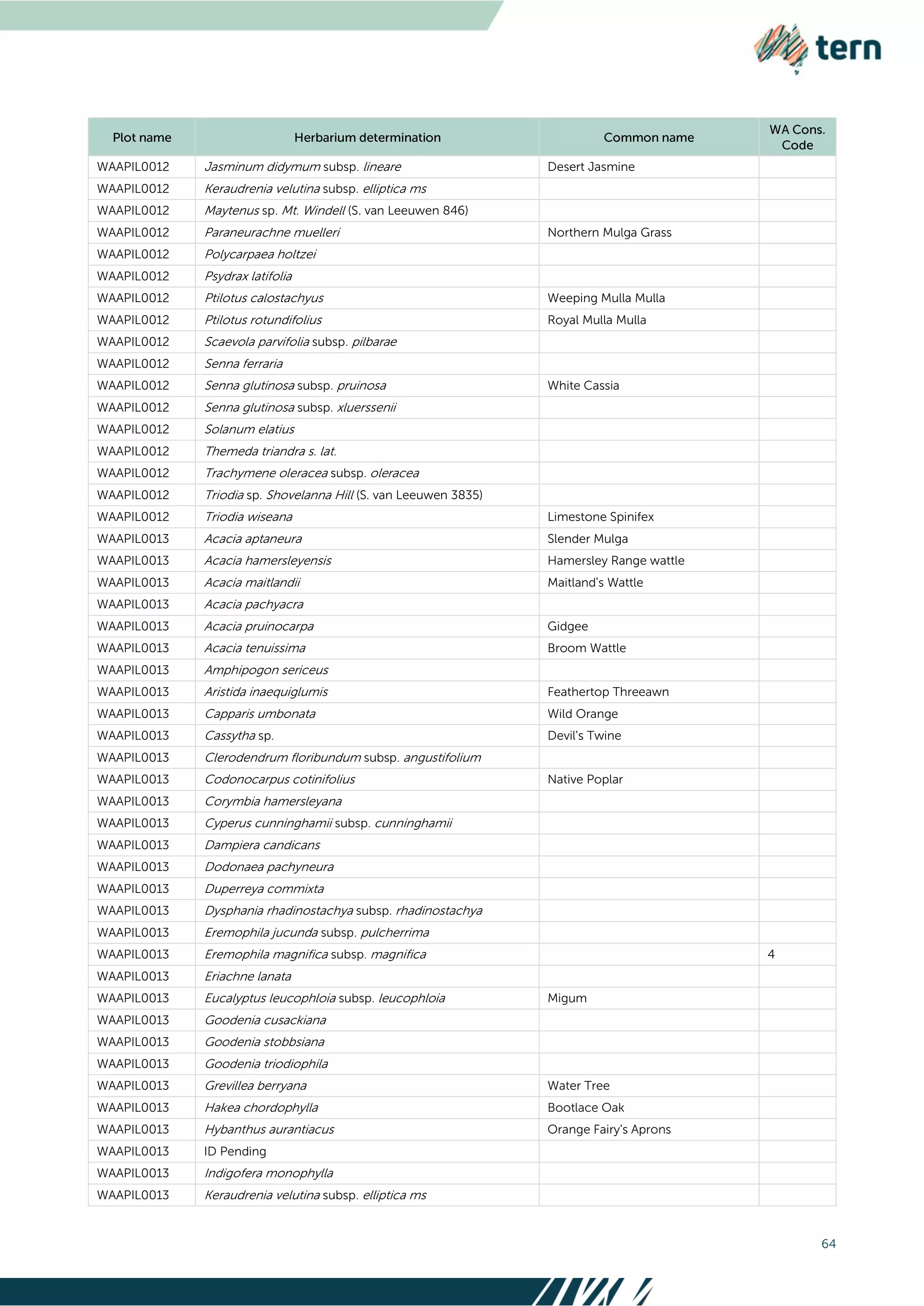 64
WAAPIL0012 Jasminum didymum subsp. lineare Desert Jasmine
WAAPIL0012 Keraudrenia velutina subsp. elliptica ms
WAAPIL0012 Maytenus sp. Mt. Windell (S. van Leeuwen 846)
WAAPIL0012 Paraneurachne muelleri Northern Mulga Grass
WAAPIL0012 Polycarpaea holtzei
WAAPIL0012 Psydrax latifolia
WAAPIL0012 Ptilotus calostachyus Weeping Mulla Mulla
WAAPIL0012 Ptilotus rotundifolius Royal Mulla Mulla
WAAPIL0012 Scaevola parvifolia subsp. pilbarae
WAAPIL0012 Senna ferraria
WAAPIL0012 Senna glutinosa subsp. pruinosa White Cassia
WAAPIL0012 Senna glutinosa subsp. xluerssenii
WAAPIL0012 Solanum elatius
WAAPIL0012 Themeda triandra s. lat.
WAAPIL0012 Trachymene oleracea subsp. oleracea
WAAPIL0012 Triodia sp. Shovelanna Hill (S. van Leeuwen 3835)
WAAPIL0012 Triodia wiseana Limestone Spinifex
WAAPIL0013 Acacia aptaneura Slender Mulga
WAAPIL0013 Acacia hamersleyensis Hamersley Range wattle
WAAPIL0013 Acacia maitlandii Maitland's Wattle
WAAPIL0013 Acacia pachyacra
WAAPIL0013 Acacia pruinocarpa Gidgee
WAAPIL0013 Acacia tenuissima Broom Wattle
WAAPIL0013 Amphipogon sericeus
WAAPIL0013 Aristida inaequiglumis Feathertop Threeawn
WAAPIL0013 Capparis umbonata Wild Orange
WAAPIL0013 Cassytha sp. Devil's Twine
WAAPIL0013 Clerodendrum floribundum subsp. angustifolium
WAAPIL0013 Codonocarpus cotinifolius Native Poplar
WAAPIL0013 Corymbia hamersleyana
WAAPIL0013 Cyperus cunninghamii subsp. cunninghamii
WAAPIL0013 Dampiera candicans
WAAPIL0013 Dodonaea pachyneura
WAAPIL0013 Duperreya commixta
WAAPIL0013 Dysphania rhadinostachya subsp. rhadinostachya
WAAPIL0013 Eremophila jucunda subsp. pulcherrima
WAAPIL0013 Eremophila magnifica subsp. magnifica 4
WAAPIL0013 Eriachne lanata
WAAPIL0013 Eucalyptus leucophloia subsp. leucophloia Migum
WAAPIL0013 Goodenia cusackiana
WAAPIL0013 Goodenia stobbsiana
WAAPIL0013 Goodenia triodiophila
WAAPIL0013 Grevillea berryana Water Tree
WAAPIL0013 Hakea chordophylla Bootlace Oak
WAAPIL0013 Hybanthus aurantiacus Orange Fairy's Aprons
WAAPIL0013 ID Pending
WAAPIL0013 Indigofera monophylla
WAAPIL0013 Keraudrenia velutina subsp. elliptica ms
 