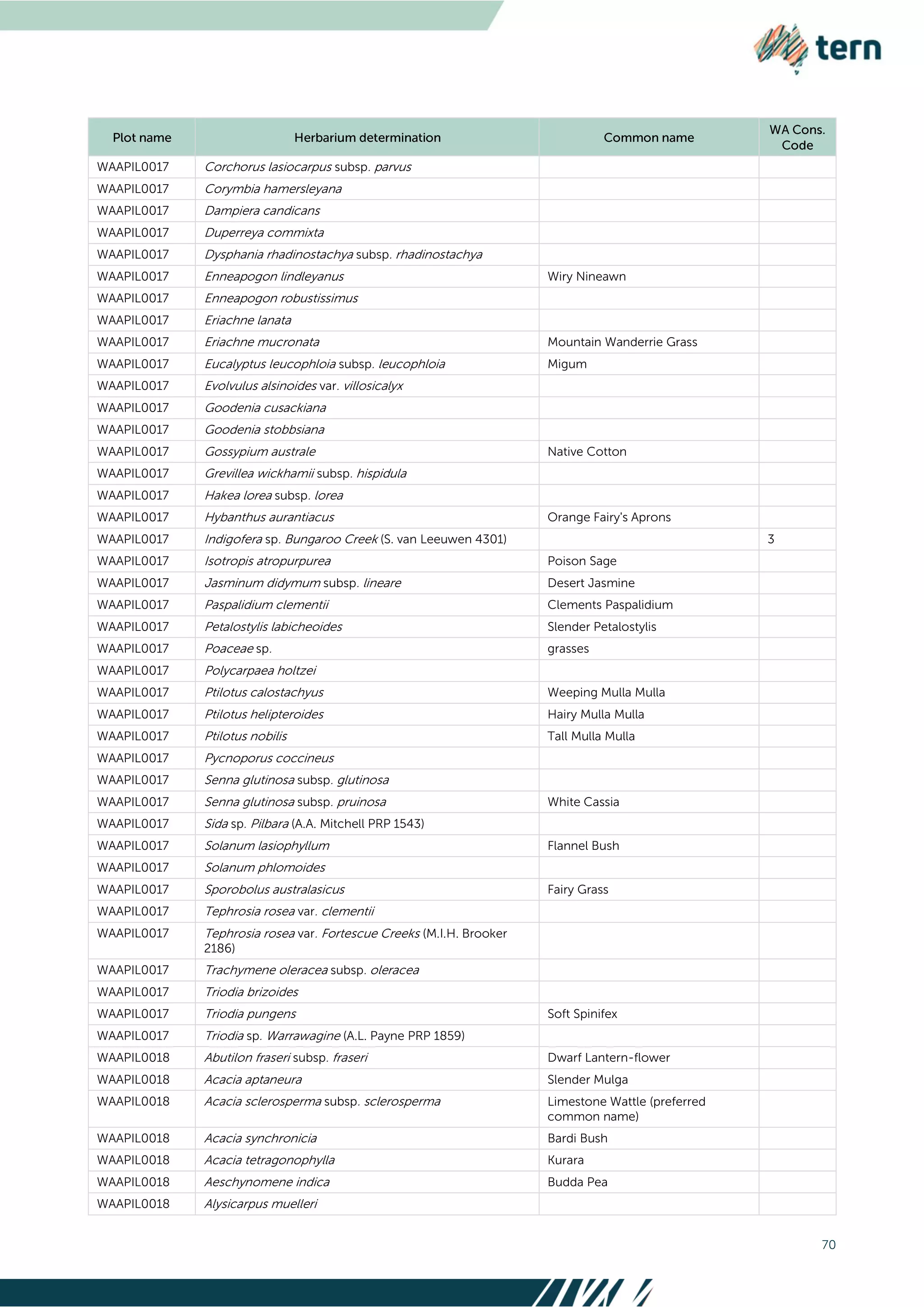 70
WAAPIL0017 Corchorus lasiocarpus subsp. parvus
WAAPIL0017 Corymbia hamersleyana
WAAPIL0017 Dampiera candicans
WAAPIL0017 Duperreya commixta
WAAPIL0017 Dysphania rhadinostachya subsp. rhadinostachya
WAAPIL0017 Enneapogon lindleyanus Wiry Nineawn
WAAPIL0017 Enneapogon robustissimus
WAAPIL0017 Eriachne lanata
WAAPIL0017 Eriachne mucronata Mountain Wanderrie Grass
WAAPIL0017 Eucalyptus leucophloia subsp. leucophloia Migum
WAAPIL0017 Evolvulus alsinoides var. villosicalyx
WAAPIL0017 Goodenia cusackiana
WAAPIL0017 Goodenia stobbsiana
WAAPIL0017 Gossypium australe Native Cotton
WAAPIL0017 Grevillea wickhamii subsp. hispidula
WAAPIL0017 Hakea lorea subsp. lorea
WAAPIL0017 Hybanthus aurantiacus Orange Fairy's Aprons
WAAPIL0017 Indigofera sp. Bungaroo Creek (S. van Leeuwen 4301) 3
WAAPIL0017 Isotropis atropurpurea Poison Sage
WAAPIL0017 Jasminum didymum subsp. lineare Desert Jasmine
WAAPIL0017 Paspalidium clementii Clements Paspalidium
WAAPIL0017 Petalostylis labicheoides Slender Petalostylis
WAAPIL0017 Poaceae sp. grasses
WAAPIL0017 Polycarpaea holtzei
WAAPIL0017 Ptilotus calostachyus Weeping Mulla Mulla
WAAPIL0017 Ptilotus helipteroides Hairy Mulla Mulla
WAAPIL0017 Ptilotus nobilis Tall Mulla Mulla
WAAPIL0017 Pycnoporus coccineus
WAAPIL0017 Senna glutinosa subsp. glutinosa
WAAPIL0017 Senna glutinosa subsp. pruinosa White Cassia
WAAPIL0017 Sida sp. Pilbara (A.A. Mitchell PRP 1543)
WAAPIL0017 Solanum lasiophyllum Flannel Bush
WAAPIL0017 Solanum phlomoides
WAAPIL0017 Sporobolus australasicus Fairy Grass
WAAPIL0017 Tephrosia rosea var. clementii
WAAPIL0017 Tephrosia rosea var. Fortescue Creeks (M.I.H. Brooker
2186)
WAAPIL0017 Trachymene oleracea subsp. oleracea
WAAPIL0017 Triodia brizoides
WAAPIL0017 Triodia pungens Soft Spinifex
WAAPIL0017 Triodia sp. Warrawagine (A.L. Payne PRP 1859)
WAAPIL0018 Abutilon fraseri subsp. fraseri Dwarf Lantern-flower
WAAPIL0018 Acacia aptaneura Slender Mulga
WAAPIL0018 Acacia sclerosperma subsp. sclerosperma Limestone Wattle (preferred
common name)
WAAPIL0018 Acacia synchronicia Bardi Bush
WAAPIL0018 Acacia tetragonophylla Kurara
WAAPIL0018 Aeschynomene indica Budda Pea
WAAPIL0018 Alysicarpus muelleri
 