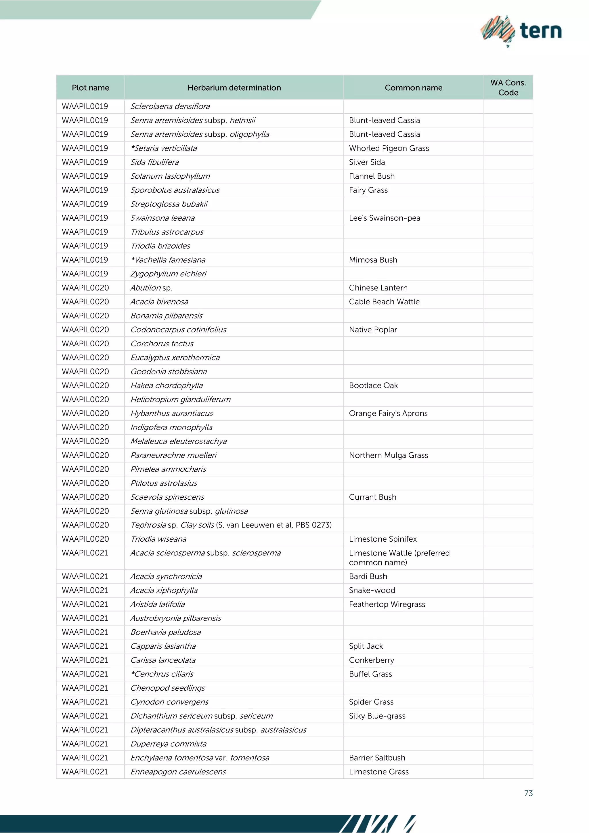 73
WAAPIL0019 Sclerolaena densiflora
WAAPIL0019 Senna artemisioides subsp. helmsii Blunt-leaved Cassia
WAAPIL0019 Senna artemisioides subsp. oligophylla Blunt-leaved Cassia
WAAPIL0019 *Setaria verticillata Whorled Pigeon Grass
WAAPIL0019 Sida fibulifera Silver Sida
WAAPIL0019 Solanum lasiophyllum Flannel Bush
WAAPIL0019 Sporobolus australasicus Fairy Grass
WAAPIL0019 Streptoglossa bubakii
WAAPIL0019 Swainsona leeana Lee's Swainson-pea
WAAPIL0019 Tribulus astrocarpus
WAAPIL0019 Triodia brizoides
WAAPIL0019 *Vachellia farnesiana Mimosa Bush
WAAPIL0019 Zygophyllum eichleri
WAAPIL0020 Abutilon sp. Chinese Lantern
WAAPIL0020 Acacia bivenosa Cable Beach Wattle
WAAPIL0020 Bonamia pilbarensis
WAAPIL0020 Codonocarpus cotinifolius Native Poplar
WAAPIL0020 Corchorus tectus
WAAPIL0020 Eucalyptus xerothermica
WAAPIL0020 Goodenia stobbsiana
WAAPIL0020 Hakea chordophylla Bootlace Oak
WAAPIL0020 Heliotropium glanduliferum
WAAPIL0020 Hybanthus aurantiacus Orange Fairy's Aprons
WAAPIL0020 Indigofera monophylla
WAAPIL0020 Melaleuca eleuterostachya
WAAPIL0020 Paraneurachne muelleri Northern Mulga Grass
WAAPIL0020 Pimelea ammocharis
WAAPIL0020 Ptilotus astrolasius
WAAPIL0020 Scaevola spinescens Currant Bush
WAAPIL0020 Senna glutinosa subsp. glutinosa
WAAPIL0020 Tephrosia sp. Clay soils (S. van Leeuwen et al. PBS 0273)
WAAPIL0020 Triodia wiseana Limestone Spinifex
WAAPIL0021 Acacia sclerosperma subsp. sclerosperma Limestone Wattle (preferred
common name)
WAAPIL0021 Acacia synchronicia Bardi Bush
WAAPIL0021 Acacia xiphophylla Snake-wood
WAAPIL0021 Aristida latifolia Feathertop Wiregrass
WAAPIL0021 Austrobryonia pilbarensis
WAAPIL0021 Boerhavia paludosa
WAAPIL0021 Capparis lasiantha Split Jack
WAAPIL0021 Carissa lanceolata Conkerberry
WAAPIL0021 *Cenchrus ciliaris Buffel Grass
WAAPIL0021 Chenopod seedlings
WAAPIL0021 Cynodon convergens Spider Grass
WAAPIL0021 Dichanthium sericeum subsp. sericeum Silky Blue-grass
WAAPIL0021 Dipteracanthus australasicus subsp. australasicus
WAAPIL0021 Duperreya commixta
WAAPIL0021 Enchylaena tomentosa var. tomentosa Barrier Saltbush
WAAPIL0021 Enneapogon caerulescens Limestone Grass
 