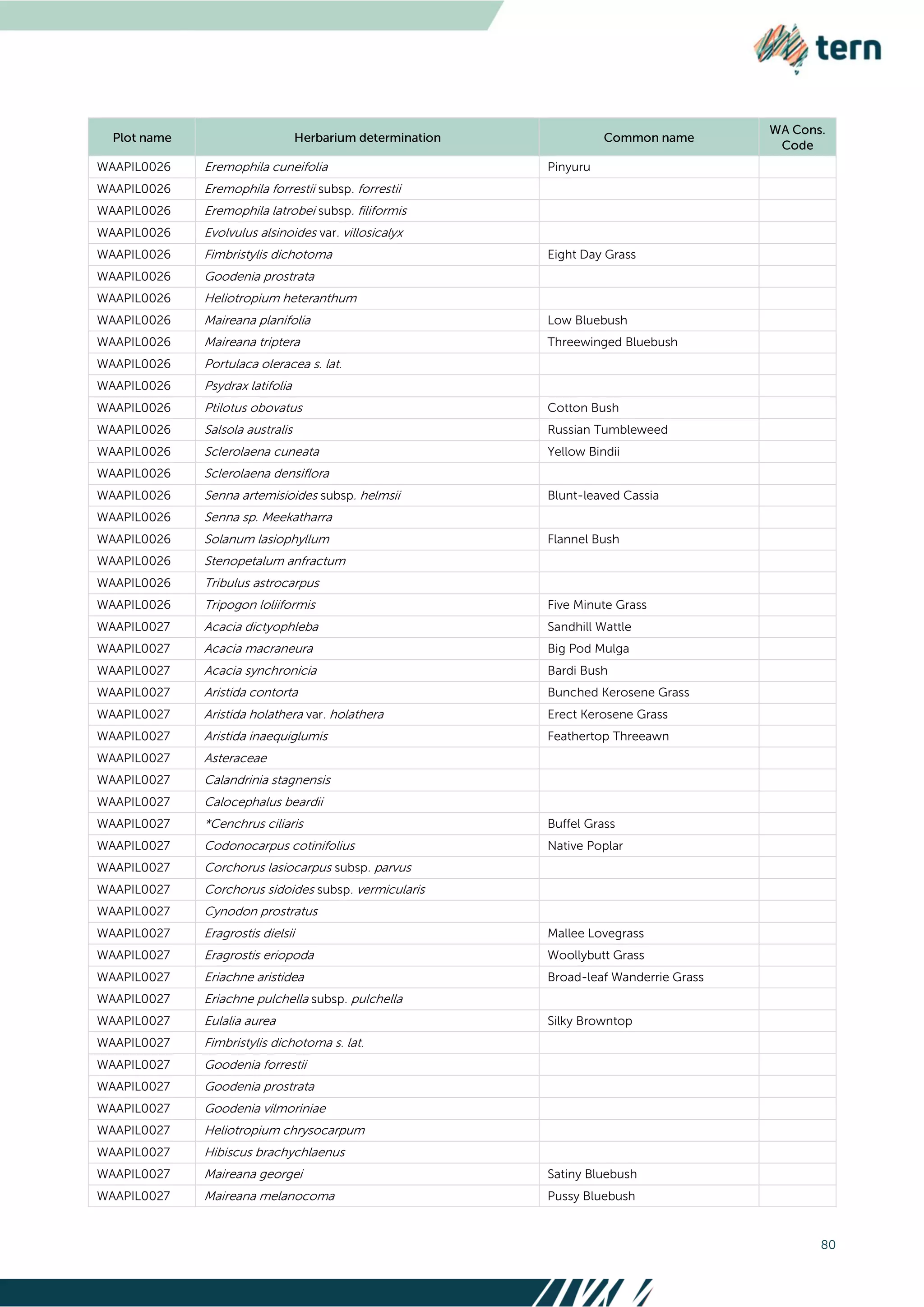 80
WAAPIL0026 Eremophila cuneifolia Pinyuru
WAAPIL0026 Eremophila forrestii subsp. forrestii
WAAPIL0026 Eremophila latrobei subsp. filiformis
WAAPIL0026 Evolvulus alsinoides var. villosicalyx
WAAPIL0026 Fimbristylis dichotoma Eight Day Grass
WAAPIL0026 Goodenia prostrata
WAAPIL0026 Heliotropium heteranthum
WAAPIL0026 Maireana planifolia Low Bluebush
WAAPIL0026 Maireana triptera Threewinged Bluebush
WAAPIL0026 Portulaca oleracea s. lat.
WAAPIL0026 Psydrax latifolia
WAAPIL0026 Ptilotus obovatus Cotton Bush
WAAPIL0026 Salsola australis Russian Tumbleweed
WAAPIL0026 Sclerolaena cuneata Yellow Bindii
WAAPIL0026 Sclerolaena densiflora
WAAPIL0026 Senna artemisioides subsp. helmsii Blunt-leaved Cassia
WAAPIL0026 Senna sp. Meekatharra
WAAPIL0026 Solanum lasiophyllum Flannel Bush
WAAPIL0026 Stenopetalum anfractum
WAAPIL0026 Tribulus astrocarpus
WAAPIL0026 Tripogon loliiformis Five Minute Grass
WAAPIL0027 Acacia dictyophleba Sandhill Wattle
WAAPIL0027 Acacia macraneura Big Pod Mulga
WAAPIL0027 Acacia synchronicia Bardi Bush
WAAPIL0027 Aristida contorta Bunched Kerosene Grass
WAAPIL0027 Aristida holathera var. holathera Erect Kerosene Grass
WAAPIL0027 Aristida inaequiglumis Feathertop Threeawn
WAAPIL0027 Asteraceae
WAAPIL0027 Calandrinia stagnensis
WAAPIL0027 Calocephalus beardii
WAAPIL0027 *Cenchrus ciliaris Buffel Grass
WAAPIL0027 Codonocarpus cotinifolius Native Poplar
WAAPIL0027 Corchorus lasiocarpus subsp. parvus
WAAPIL0027 Corchorus sidoides subsp. vermicularis
WAAPIL0027 Cynodon prostratus
WAAPIL0027 Eragrostis dielsii Mallee Lovegrass
WAAPIL0027 Eragrostis eriopoda Woollybutt Grass
WAAPIL0027 Eriachne aristidea Broad-leaf Wanderrie Grass
WAAPIL0027 Eriachne pulchella subsp. pulchella
WAAPIL0027 Eulalia aurea Silky Browntop
WAAPIL0027 Fimbristylis dichotoma s. lat.
WAAPIL0027 Goodenia forrestii
WAAPIL0027 Goodenia prostrata
WAAPIL0027 Goodenia vilmoriniae
WAAPIL0027 Heliotropium chrysocarpum
WAAPIL0027 Hibiscus brachychlaenus
WAAPIL0027 Maireana georgei Satiny Bluebush
WAAPIL0027 Maireana melanocoma Pussy Bluebush
 