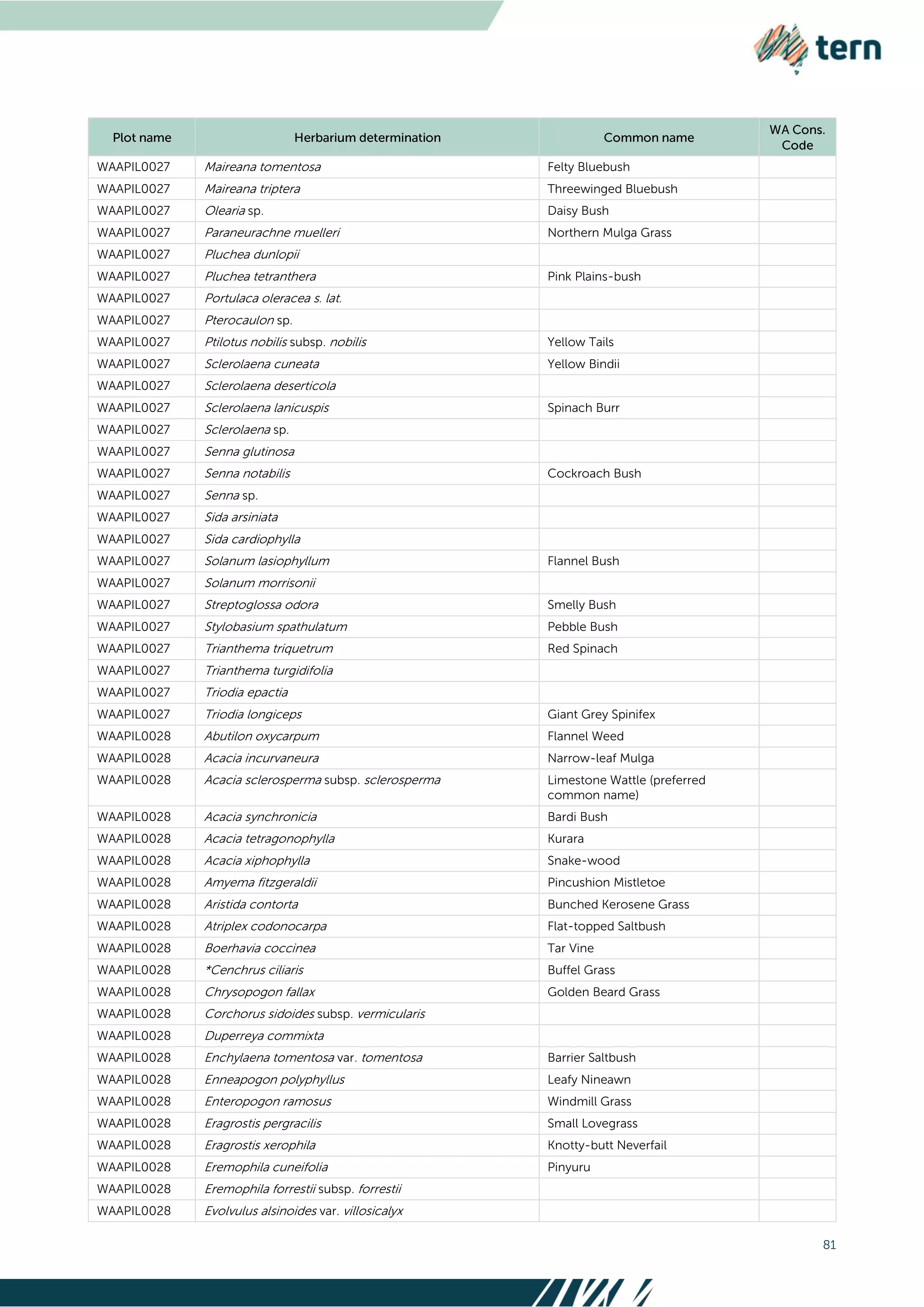 81
WAAPIL0027 Maireana tomentosa Felty Bluebush
WAAPIL0027 Maireana triptera Threewinged Bluebush
WAAPIL0027 Olearia sp. Daisy Bush
WAAPIL0027 Paraneurachne muelleri Northern Mulga Grass
WAAPIL0027 Pluchea dunlopii
WAAPIL0027 Pluchea tetranthera Pink Plains-bush
WAAPIL0027 Portulaca oleracea s. lat.
WAAPIL0027 Pterocaulon sp.
WAAPIL0027 Ptilotus nobilis subsp. nobilis Yellow Tails
WAAPIL0027 Sclerolaena cuneata Yellow Bindii
WAAPIL0027 Sclerolaena deserticola
WAAPIL0027 Sclerolaena lanicuspis Spinach Burr
WAAPIL0027 Sclerolaena sp.
WAAPIL0027 Senna glutinosa
WAAPIL0027 Senna notabilis Cockroach Bush
WAAPIL0027 Senna sp.
WAAPIL0027 Sida arsiniata
WAAPIL0027 Sida cardiophylla
WAAPIL0027 Solanum lasiophyllum Flannel Bush
WAAPIL0027 Solanum morrisonii
WAAPIL0027 Streptoglossa odora Smelly Bush
WAAPIL0027 Stylobasium spathulatum Pebble Bush
WAAPIL0027 Trianthema triquetrum Red Spinach
WAAPIL0027 Trianthema turgidifolia
WAAPIL0027 Triodia epactia
WAAPIL0027 Triodia longiceps Giant Grey Spinifex
WAAPIL0028 Abutilon oxycarpum Flannel Weed
WAAPIL0028 Acacia incurvaneura Narrow-leaf Mulga
WAAPIL0028 Acacia sclerosperma subsp. sclerosperma Limestone Wattle (preferred
common name)
WAAPIL0028 Acacia synchronicia Bardi Bush
WAAPIL0028 Acacia tetragonophylla Kurara
WAAPIL0028 Acacia xiphophylla Snake-wood
WAAPIL0028 Amyema fitzgeraldii Pincushion Mistletoe
WAAPIL0028 Aristida contorta Bunched Kerosene Grass
WAAPIL0028 Atriplex codonocarpa Flat-topped Saltbush
WAAPIL0028 Boerhavia coccinea Tar Vine
WAAPIL0028 *Cenchrus ciliaris Buffel Grass
WAAPIL0028 Chrysopogon fallax Golden Beard Grass
WAAPIL0028 Corchorus sidoides subsp. vermicularis
WAAPIL0028 Duperreya commixta
WAAPIL0028 Enchylaena tomentosa var. tomentosa Barrier Saltbush
WAAPIL0028 Enneapogon polyphyllus Leafy Nineawn
WAAPIL0028 Enteropogon ramosus Windmill Grass
WAAPIL0028 Eragrostis pergracilis Small Lovegrass
WAAPIL0028 Eragrostis xerophila Knotty-butt Neverfail
WAAPIL0028 Eremophila cuneifolia Pinyuru
WAAPIL0028 Eremophila forrestii subsp. forrestii
WAAPIL0028 Evolvulus alsinoides var. villosicalyx
 