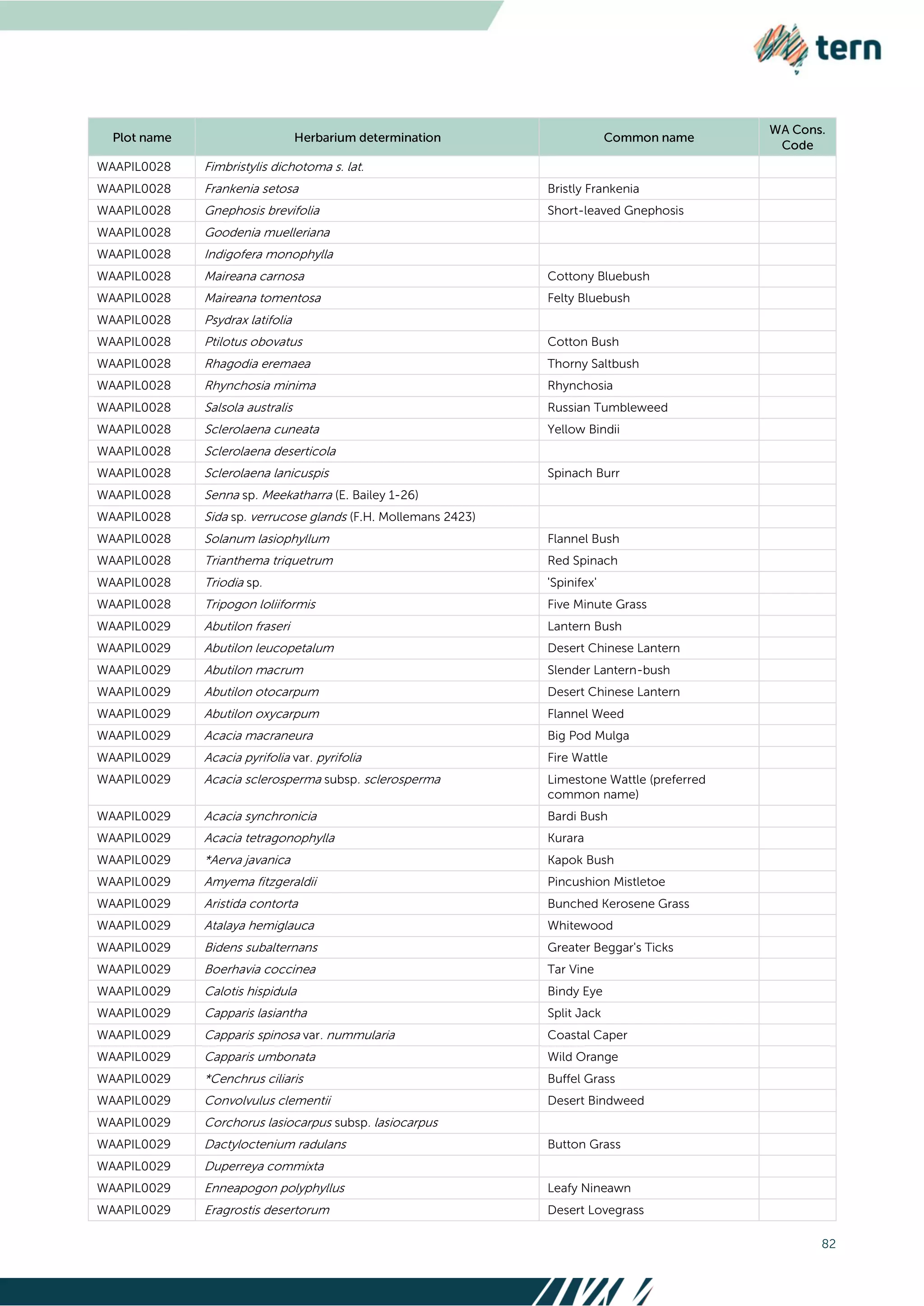 82
WAAPIL0028 Fimbristylis dichotoma s. lat.
WAAPIL0028 Frankenia setosa Bristly Frankenia
WAAPIL0028 Gnephosis brevifolia Short-leaved Gnephosis
WAAPIL0028 Goodenia muelleriana
WAAPIL0028 Indigofera monophylla
WAAPIL0028 Maireana carnosa Cottony Bluebush
WAAPIL0028 Maireana tomentosa Felty Bluebush
WAAPIL0028 Psydrax latifolia
WAAPIL0028 Ptilotus obovatus Cotton Bush
WAAPIL0028 Rhagodia eremaea Thorny Saltbush
WAAPIL0028 Rhynchosia minima Rhynchosia
WAAPIL0028 Salsola australis Russian Tumbleweed
WAAPIL0028 Sclerolaena cuneata Yellow Bindii
WAAPIL0028 Sclerolaena deserticola
WAAPIL0028 Sclerolaena lanicuspis Spinach Burr
WAAPIL0028 Senna sp. Meekatharra (E. Bailey 1-26)
WAAPIL0028 Sida sp. verrucose glands (F.H. Mollemans 2423)
WAAPIL0028 Solanum lasiophyllum Flannel Bush
WAAPIL0028 Trianthema triquetrum Red Spinach
WAAPIL0028 Triodia sp. 'Spinifex'
WAAPIL0028 Tripogon loliiformis Five Minute Grass
WAAPIL0029 Abutilon fraseri Lantern Bush
WAAPIL0029 Abutilon leucopetalum Desert Chinese Lantern
WAAPIL0029 Abutilon macrum Slender Lantern-bush
WAAPIL0029 Abutilon otocarpum Desert Chinese Lantern
WAAPIL0029 Abutilon oxycarpum Flannel Weed
WAAPIL0029 Acacia macraneura Big Pod Mulga
WAAPIL0029 Acacia pyrifolia var. pyrifolia Fire Wattle
WAAPIL0029 Acacia sclerosperma subsp. sclerosperma Limestone Wattle (preferred
common name)
WAAPIL0029 Acacia synchronicia Bardi Bush
WAAPIL0029 Acacia tetragonophylla Kurara
WAAPIL0029 *Aerva javanica Kapok Bush
WAAPIL0029 Amyema fitzgeraldii Pincushion Mistletoe
WAAPIL0029 Aristida contorta Bunched Kerosene Grass
WAAPIL0029 Atalaya hemiglauca Whitewood
WAAPIL0029 Bidens subalternans Greater Beggar's Ticks
WAAPIL0029 Boerhavia coccinea Tar Vine
WAAPIL0029 Calotis hispidula Bindy Eye
WAAPIL0029 Capparis lasiantha Split Jack
WAAPIL0029 Capparis spinosa var. nummularia Coastal Caper
WAAPIL0029 Capparis umbonata Wild Orange
WAAPIL0029 *Cenchrus ciliaris Buffel Grass
WAAPIL0029 Convolvulus clementii Desert Bindweed
WAAPIL0029 Corchorus lasiocarpus subsp. lasiocarpus
WAAPIL0029 Dactyloctenium radulans Button Grass
WAAPIL0029 Duperreya commixta
WAAPIL0029 Enneapogon polyphyllus Leafy Nineawn
WAAPIL0029 Eragrostis desertorum Desert Lovegrass
 