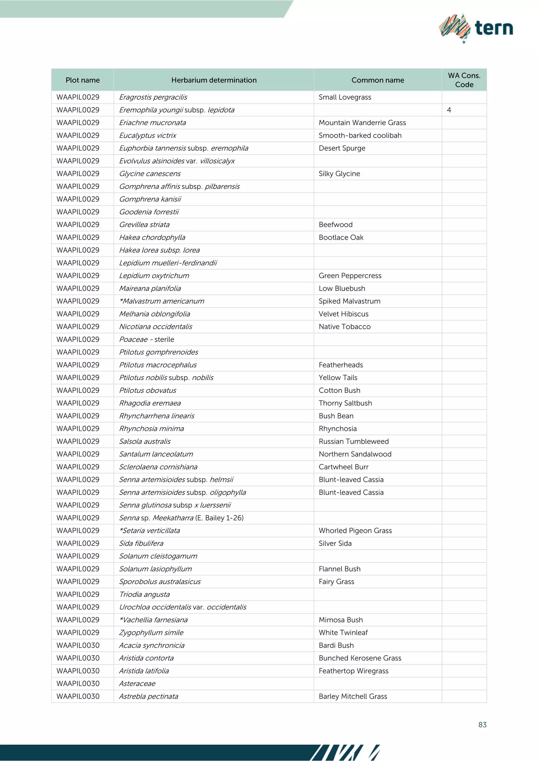 83
WAAPIL0029 Eragrostis pergracilis Small Lovegrass
WAAPIL0029 Eremophila youngii subsp. lepidota 4
WAAPIL0029 Eriachne mucronata Mountain Wanderrie Grass
WAAPIL0029 Eucalyptus victrix Smooth-barked coolibah
WAAPIL0029 Euphorbia tannensis subsp. eremophila Desert Spurge
WAAPIL0029 Evolvulus alsinoides var. villosicalyx
WAAPIL0029 Glycine canescens Silky Glycine
WAAPIL0029 Gomphrena affinis subsp. pilbarensis
WAAPIL0029 Gomphrena kanisii
WAAPIL0029 Goodenia forrestii
WAAPIL0029 Grevillea striata Beefwood
WAAPIL0029 Hakea chordophylla Bootlace Oak
WAAPIL0029 Hakea lorea subsp. lorea
WAAPIL0029 Lepidium muelleri-ferdinandii
WAAPIL0029 Lepidium oxytrichum Green Peppercress
WAAPIL0029 Maireana planifolia Low Bluebush
WAAPIL0029 *Malvastrum americanum Spiked Malvastrum
WAAPIL0029 Melhania oblongifolia Velvet Hibiscus
WAAPIL0029 Nicotiana occidentalis Native Tobacco
WAAPIL0029 Poaceae - sterile
WAAPIL0029 Ptilotus gomphrenoides
WAAPIL0029 Ptilotus macrocephalus Featherheads
WAAPIL0029 Ptilotus nobilis subsp. nobilis Yellow Tails
WAAPIL0029 Ptilotus obovatus Cotton Bush
WAAPIL0029 Rhagodia eremaea Thorny Saltbush
WAAPIL0029 Rhyncharrhena linearis Bush Bean
WAAPIL0029 Rhynchosia minima Rhynchosia
WAAPIL0029 Salsola australis Russian Tumbleweed
WAAPIL0029 Santalum lanceolatum Northern Sandalwood
WAAPIL0029 Sclerolaena cornishiana Cartwheel Burr
WAAPIL0029 Senna artemisioides subsp. helmsii Blunt-leaved Cassia
WAAPIL0029 Senna artemisioides subsp. oligophylla Blunt-leaved Cassia
WAAPIL0029 Senna glutinosa subsp x luerssenii
WAAPIL0029 Senna sp. Meekatharra (E. Bailey 1-26)
WAAPIL0029 *Setaria verticillata Whorled Pigeon Grass
WAAPIL0029 Sida fibulifera Silver Sida
WAAPIL0029 Solanum cleistogamum
WAAPIL0029 Solanum lasiophyllum Flannel Bush
WAAPIL0029 Sporobolus australasicus Fairy Grass
WAAPIL0029 Triodia angusta
WAAPIL0029 Urochloa occidentalis var. occidentalis
WAAPIL0029 *Vachellia farnesiana Mimosa Bush
WAAPIL0029 Zygophyllum simile White Twinleaf
WAAPIL0030 Acacia synchronicia Bardi Bush
WAAPIL0030 Aristida contorta Bunched Kerosene Grass
WAAPIL0030 Aristida latifolia Feathertop Wiregrass
WAAPIL0030 Asteraceae
WAAPIL0030 Astrebla pectinata Barley Mitchell Grass
 