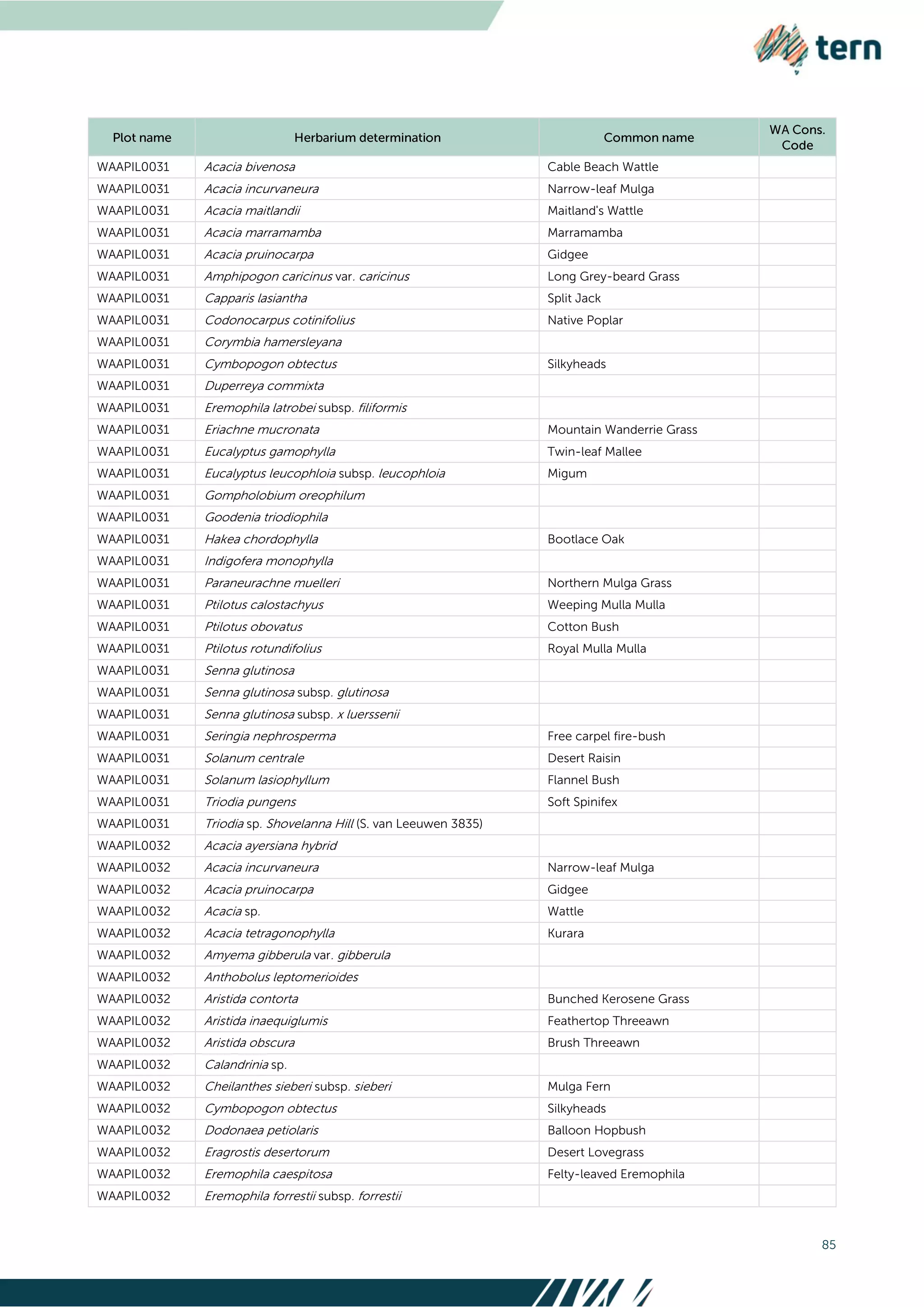 85
WAAPIL0031 Acacia bivenosa Cable Beach Wattle
WAAPIL0031 Acacia incurvaneura Narrow-leaf Mulga
WAAPIL0031 Acacia maitlandii Maitland's Wattle
WAAPIL0031 Acacia marramamba Marramamba
WAAPIL0031 Acacia pruinocarpa Gidgee
WAAPIL0031 Amphipogon caricinus var. caricinus Long Grey-beard Grass
WAAPIL0031 Capparis lasiantha Split Jack
WAAPIL0031 Codonocarpus cotinifolius Native Poplar
WAAPIL0031 Corymbia hamersleyana
WAAPIL0031 Cymbopogon obtectus Silkyheads
WAAPIL0031 Duperreya commixta
WAAPIL0031 Eremophila latrobei subsp. filiformis
WAAPIL0031 Eriachne mucronata Mountain Wanderrie Grass
WAAPIL0031 Eucalyptus gamophylla Twin-leaf Mallee
WAAPIL0031 Eucalyptus leucophloia subsp. leucophloia Migum
WAAPIL0031 Gompholobium oreophilum
WAAPIL0031 Goodenia triodiophila
WAAPIL0031 Hakea chordophylla Bootlace Oak
WAAPIL0031 Indigofera monophylla
WAAPIL0031 Paraneurachne muelleri Northern Mulga Grass
WAAPIL0031 Ptilotus calostachyus Weeping Mulla Mulla
WAAPIL0031 Ptilotus obovatus Cotton Bush
WAAPIL0031 Ptilotus rotundifolius Royal Mulla Mulla
WAAPIL0031 Senna glutinosa
WAAPIL0031 Senna glutinosa subsp. glutinosa
WAAPIL0031 Senna glutinosa subsp. x luerssenii
WAAPIL0031 Seringia nephrosperma Free carpel fire-bush
WAAPIL0031 Solanum centrale Desert Raisin
WAAPIL0031 Solanum lasiophyllum Flannel Bush
WAAPIL0031 Triodia pungens Soft Spinifex
WAAPIL0031 Triodia sp. Shovelanna Hill (S. van Leeuwen 3835)
WAAPIL0032 Acacia ayersiana hybrid
WAAPIL0032 Acacia incurvaneura Narrow-leaf Mulga
WAAPIL0032 Acacia pruinocarpa Gidgee
WAAPIL0032 Acacia sp. Wattle
WAAPIL0032 Acacia tetragonophylla Kurara
WAAPIL0032 Amyema gibberula var. gibberula
WAAPIL0032 Anthobolus leptomerioides
WAAPIL0032 Aristida contorta Bunched Kerosene Grass
WAAPIL0032 Aristida inaequiglumis Feathertop Threeawn
WAAPIL0032 Aristida obscura Brush Threeawn
WAAPIL0032 Calandrinia sp.
WAAPIL0032 Cheilanthes sieberi subsp. sieberi Mulga Fern
WAAPIL0032 Cymbopogon obtectus Silkyheads
WAAPIL0032 Dodonaea petiolaris Balloon Hopbush
WAAPIL0032 Eragrostis desertorum Desert Lovegrass
WAAPIL0032 Eremophila caespitosa Felty-leaved Eremophila
WAAPIL0032 Eremophila forrestii subsp. forrestii
 