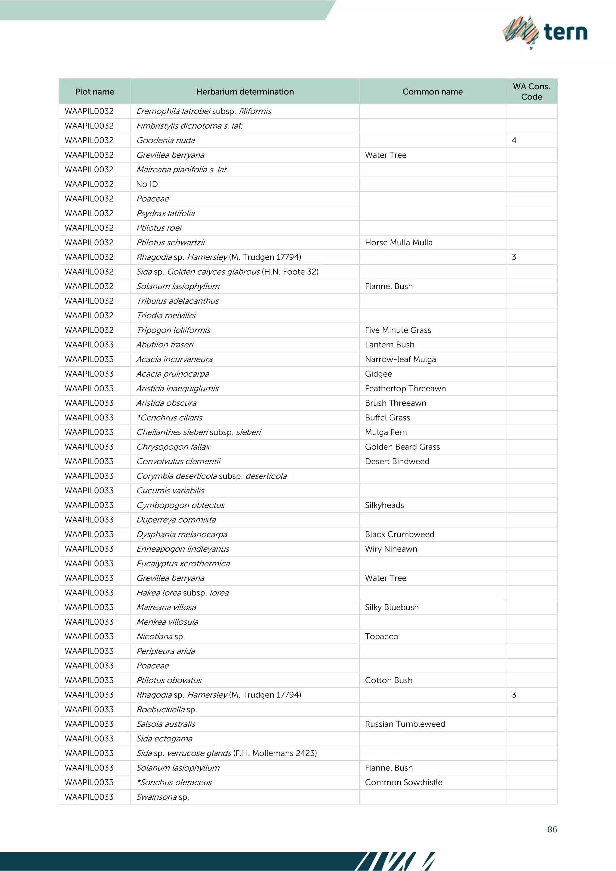 86
WAAPIL0032 Eremophila latrobei subsp. filiformis
WAAPIL0032 Fimbristylis dichotoma s. lat.
WAAPIL0032 Goodenia nuda 4
WAAPIL0032 Grevillea berryana Water Tree
WAAPIL0032 Maireana planifolia s. lat.
WAAPIL0032 No ID
WAAPIL0032 Poaceae
WAAPIL0032 Psydrax latifolia
WAAPIL0032 Ptilotus roei
WAAPIL0032 Ptilotus schwartzii Horse Mulla Mulla
WAAPIL0032 Rhagodia sp. Hamersley (M. Trudgen 17794) 3
WAAPIL0032 Sida sp. Golden calyces glabrous (H.N. Foote 32)
WAAPIL0032 Solanum lasiophyllum Flannel Bush
WAAPIL0032 Tribulus adelacanthus
WAAPIL0032 Triodia melvillei
WAAPIL0032 Tripogon loliiformis Five Minute Grass
WAAPIL0033 Abutilon fraseri Lantern Bush
WAAPIL0033 Acacia incurvaneura Narrow-leaf Mulga
WAAPIL0033 Acacia pruinocarpa Gidgee
WAAPIL0033 Aristida inaequiglumis Feathertop Threeawn
WAAPIL0033 Aristida obscura Brush Threeawn
WAAPIL0033 *Cenchrus ciliaris Buffel Grass
WAAPIL0033 Cheilanthes sieberi subsp. sieberi Mulga Fern
WAAPIL0033 Chrysopogon fallax Golden Beard Grass
WAAPIL0033 Convolvulus clementii Desert Bindweed
WAAPIL0033 Corymbia deserticola subsp. deserticola
WAAPIL0033 Cucumis variabilis
WAAPIL0033 Cymbopogon obtectus Silkyheads
WAAPIL0033 Duperreya commixta
WAAPIL0033 Dysphania melanocarpa Black Crumbweed
WAAPIL0033 Enneapogon lindleyanus Wiry Nineawn
WAAPIL0033 Eucalyptus xerothermica
WAAPIL0033 Grevillea berryana Water Tree
WAAPIL0033 Hakea lorea subsp. lorea
WAAPIL0033 Maireana villosa Silky Bluebush
WAAPIL0033 Menkea villosula
WAAPIL0033 Nicotiana sp. Tobacco
WAAPIL0033 Peripleura arida
WAAPIL0033 Poaceae
WAAPIL0033 Ptilotus obovatus Cotton Bush
WAAPIL0033 Rhagodia sp. Hamersley (M. Trudgen 17794) 3
WAAPIL0033 Roebuckiella sp.
WAAPIL0033 Salsola australis Russian Tumbleweed
WAAPIL0033 Sida ectogama
WAAPIL0033 Sida sp. verrucose glands (F.H. Mollemans 2423)
WAAPIL0033 Solanum lasiophyllum Flannel Bush
WAAPIL0033 *Sonchus oleraceus Common Sowthistle
WAAPIL0033 Swainsona sp.
 