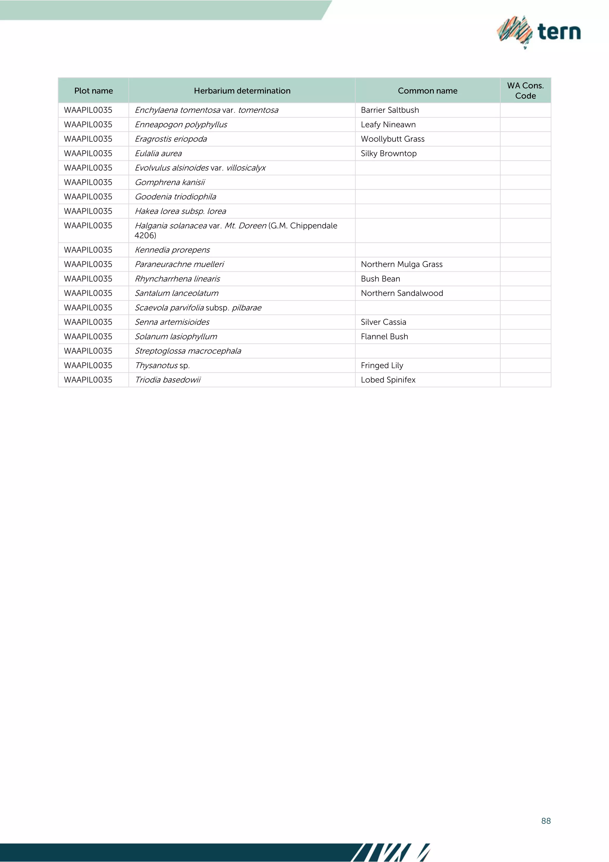 88
WAAPIL0035 Enchylaena tomentosa var. tomentosa Barrier Saltbush
WAAPIL0035 Enneapogon polyphyllus Leafy Nineawn
WAAPIL0035 Eragrostis eriopoda Woollybutt Grass
WAAPIL0035 Eulalia aurea Silky Browntop
WAAPIL0035 Evolvulus alsinoides var. villosicalyx
WAAPIL0035 Gomphrena kanisii
WAAPIL0035 Goodenia triodiophila
WAAPIL0035 Hakea lorea subsp. lorea
WAAPIL0035 Halgania solanacea var. Mt. Doreen (G.M. Chippendale
4206)
WAAPIL0035 Kennedia prorepens
WAAPIL0035 Paraneurachne muelleri Northern Mulga Grass
WAAPIL0035 Rhyncharrhena linearis Bush Bean
WAAPIL0035 Santalum lanceolatum Northern Sandalwood
WAAPIL0035 Scaevola parvifolia subsp. pilbarae
WAAPIL0035 Senna artemisioides Silver Cassia
WAAPIL0035 Solanum lasiophyllum Flannel Bush
WAAPIL0035 Streptoglossa macrocephala
WAAPIL0035 Thysanotus sp. Fringed Lily
WAAPIL0035 Triodia basedowii Lobed Spinifex
 