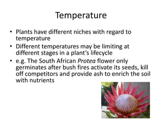 Temperature
• Plants have different niches with regard to
temperature
• Different temperatures may be limiting at
different stages in a plant’s lifecycle
• e.g. The South African Protea flower only
germinates after bush fires activate its seeds, kill
off competitors and provide ash to enrich the soil
with nutrients

 