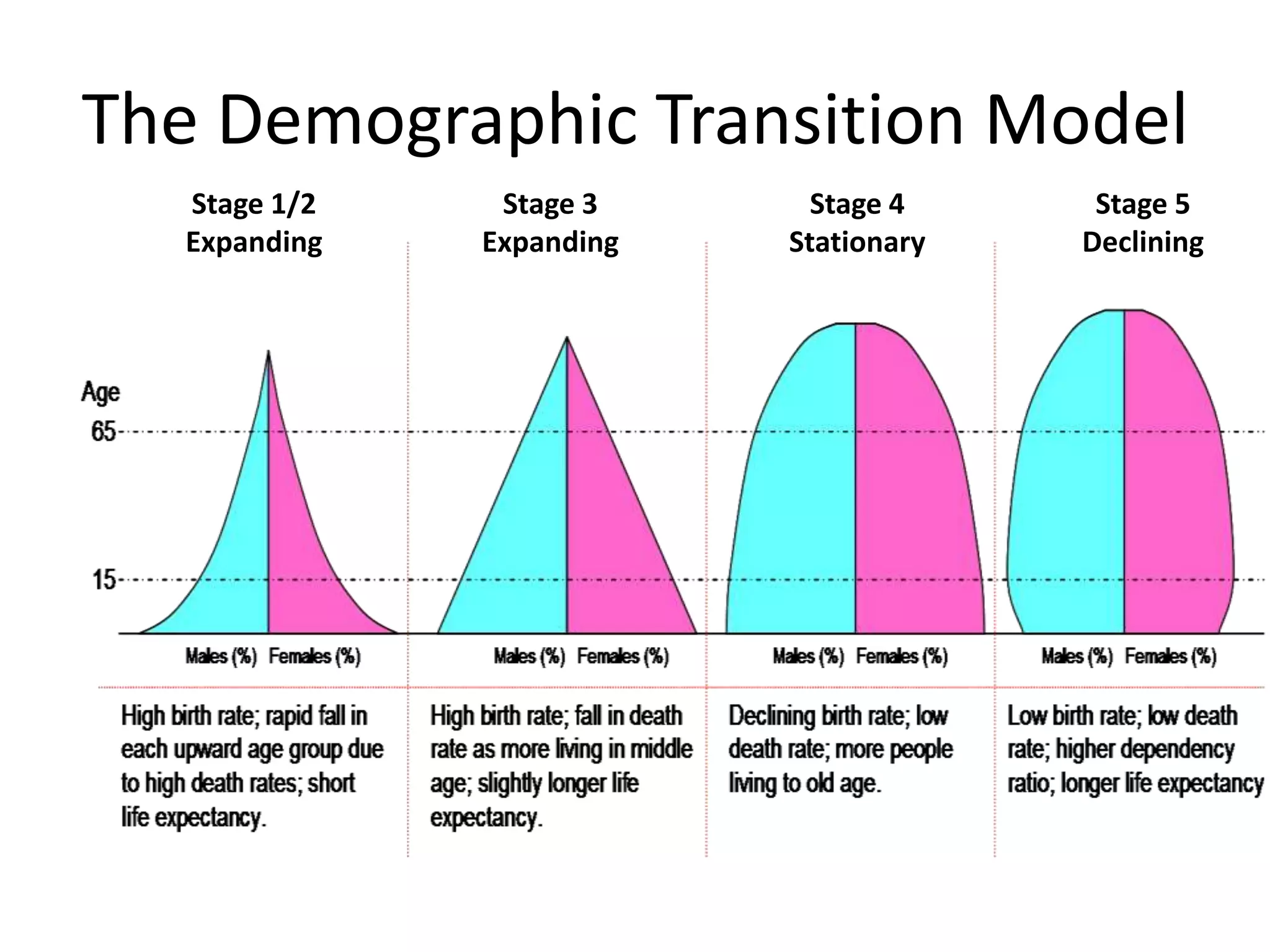 The Demographic Transition Model
Stage 1/2
Expanding
Stage 3
Expanding
Stage 4
Stationary
Stage 5
Declining
 