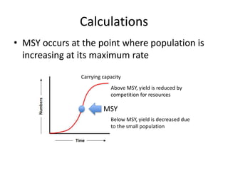Calculations
• MSY occurs at the point where population is
increasing at its maximum rate
Carrying capacity
MSY
Above MSY, yield is reduced by
competition for resources
Below MSY, yield is decreased due
to the small population
 