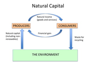 Natural Capital
PRODUCERS CONSUMERS
THE ENVIRONMENT
Waste for
recycling
Natural capital
(including non-
renewables)
Natural income
(goods and services)
Financial gain
 