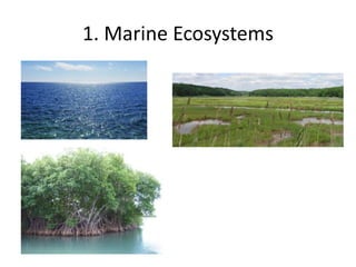 1. Marine Ecosystems
 