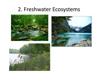 2. Freshwater Ecosystems
 