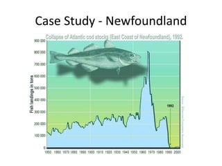 Case Study - Newfoundland
 