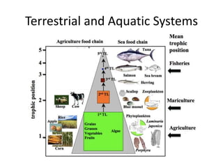 Terrestrial and Aquatic Systems
 