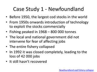 Case Study 1 - Newfoundland
• Before 1950, the largest cod stocks in the world
• From 1950s onwards introduction of technology
to exploit the stocks commercially
• Fishing peaked in 1968 – 800 000 tonnes
• The local and national government did not
intervene for fear of affecting jobs
• The entire fishery collapsed
• In 1992 it was closed completely, leading to the
loss of 42 000 jobs
• It still hasn’t recovered
Newfoundland cod fishery collapse
 