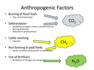 Anthropogenic Factors
• Burning of fossil fuels
– Coal, oil and natural gas
• Deforestation
– Breakdown of organic matter in biomass and soil
– Burning of biomass
– Reduction in photosynthesis
• Cattle ranching
– Cow farts
• Rice farming in padi fields
– Anoxic conditions allow growth of methanogens
• Use of fertilisers
– Breakdown of nitrogen-rich compounds
CO2
CH4
N2O
 