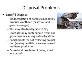 Disposal Problems
• Landfill Disposal
– Biodegradation of organics in landfills
produces methane (explosive and
greenhouse gas)
– This may also biodegrade to CO2
– Leachates may contaminate rivers and
groundwater, causing eutrophication
– Punishments for not collecting animal
poo (sealing landfills causes increased
methane production
– Cause local problems of noise, smell
and vermin
 