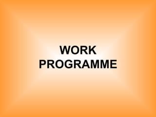WORK PROGRAMME 
