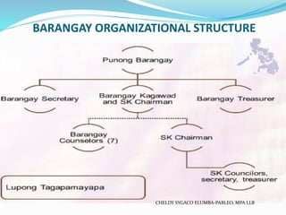 Summary Report on Local Government Unit (LGU)  PPT