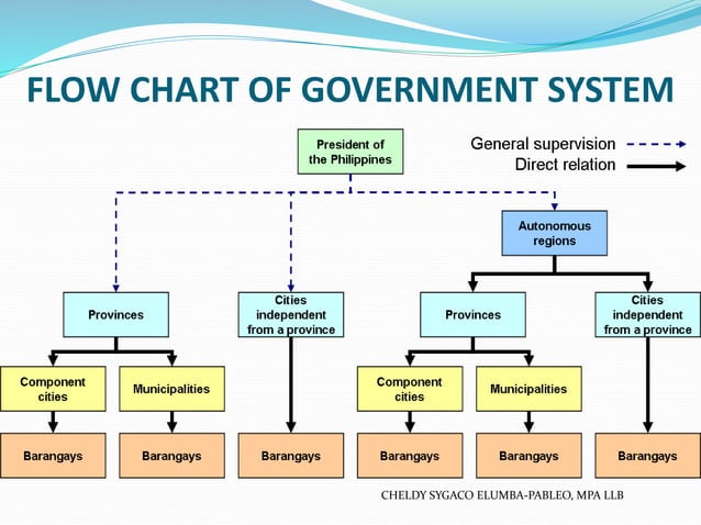 Summary Report on Local Government Unit (LGU)