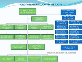 Summary Report On Local Government Unit Lgu