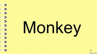 Monkey
20
 
