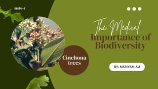 SBI3U-Z
BY: MARIYAM ALI
The Medical
Importance of
Biodiversity
Cinchona
trees
 