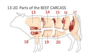 Meat Body Part Summative Exam in Cookery 2 - Meat.pptx