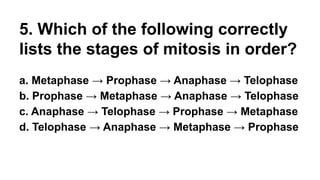 5. Which of the following correctly
lists the stages of mitosis in order?
a. Metaphase → Prophase → Anaphase → Telophase
b. Prophase → Metaphase → Anaphase → Telophase
c. Anaphase → Telophase → Prophase → Metaphase
d. Telophase → Anaphase → Metaphase → Prophase
 