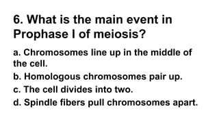 6. What is the main event in
Prophase I of meiosis?
a. Chromosomes line up in the middle of
the cell.
b. Homologous chromosomes pair up.
c. The cell divides into two.
d. Spindle fibers pull chromosomes apart.
 