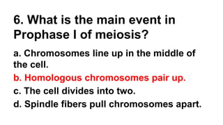 6. What is the main event in
Prophase I of meiosis?
a. Chromosomes line up in the middle of
the cell.
b. Homologous chromosomes pair up.
c. The cell divides into two.
d. Spindle fibers pull chromosomes apart.
 