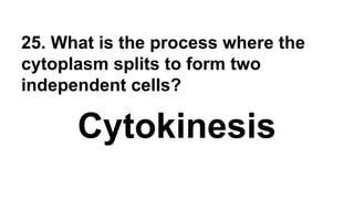 25. What is the process where the
cytoplasm splits to form two
independent cells?
Cytokinesis
 