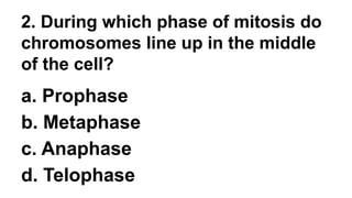 2. During which phase of mitosis do
chromosomes line up in the middle
of the cell?
a. Prophase
b. Metaphase
c. Anaphase
d. Telophase
 
