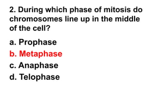 2. During which phase of mitosis do
chromosomes line up in the middle
of the cell?
a. Prophase
b. Metaphase
c. Anaphase
d. Telophase
 