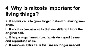 4. Why is mitosis important for
living things?
a. It allows cells to grow larger instead of making new
ones.
b. It creates two new cells that are different from the
original cell.
c. It helps organisms grow, repair damaged tissue,
and reproduce cells.
d. It removes extra cells that are no longer needed.
 