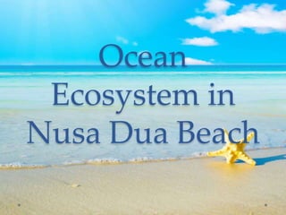 Ocean 
Ecosystem in 
Nusa Dua Beach 
 