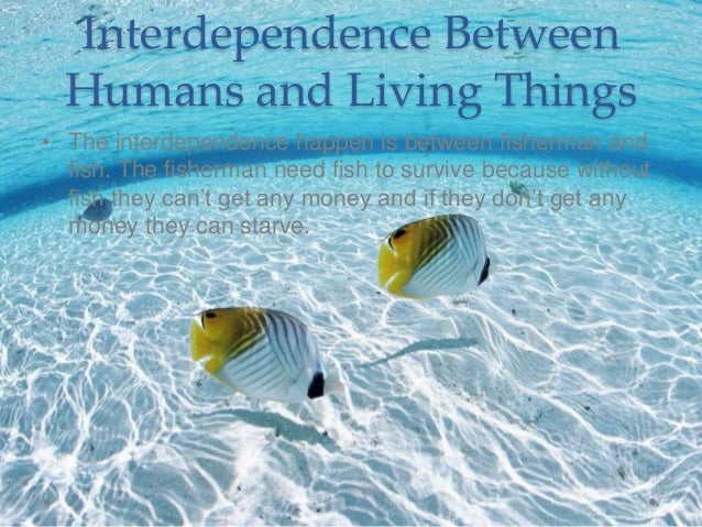 Ocean Ecosystem In Bali