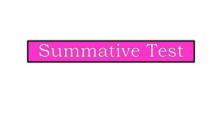 Summative Test.pptx