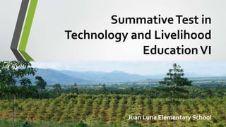 SummativeTest in
Technology and Livelihood
EducationVI
Juan Luna Elementary School
 