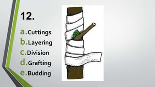 12.
a.Cuttings
b.Layering
c.Division
d.Grafting
e.Budding
 