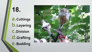 18.
a.Cuttings
b.Layering
c.Division
d.Grafting
e.Budding
 