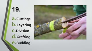 19.
a.Cuttings
b.Layering
c.Division
d.Grafting
e.Budding
 