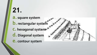 21.
a.square system
b.rectangular system
c.hexagonal system
d.Diagonal system
e.contour system
 
